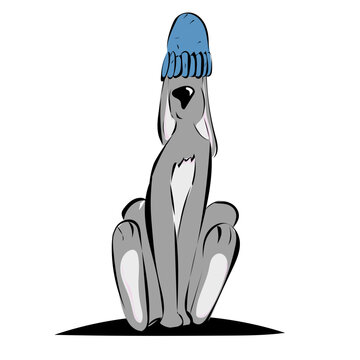 Hase