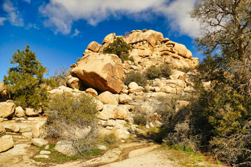 Eroded rock formation with desert vegetation in Joshua Tree National park, Mojave Desert, California, USA

