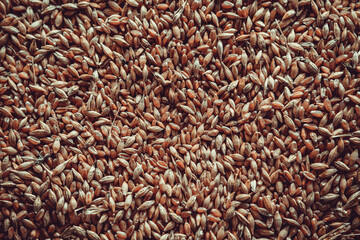 Abstract background from a mixture of cereals