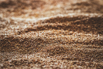 Abstract background grain harvested harvest