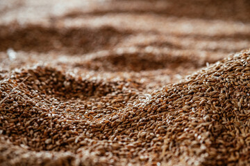 Abstract background grain harvested harvest
