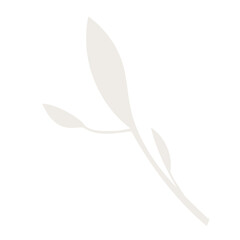 Transparent leaf graphic resource in neutral light grey
