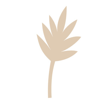 Transparent leaf graphic resource in neutral light brown