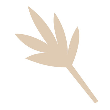 Transparent leaf graphic resource in neutral light brown