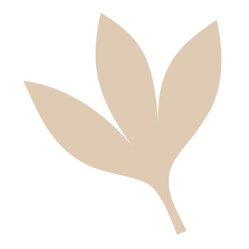 Transparent leaf graphic resource in neutral light brown