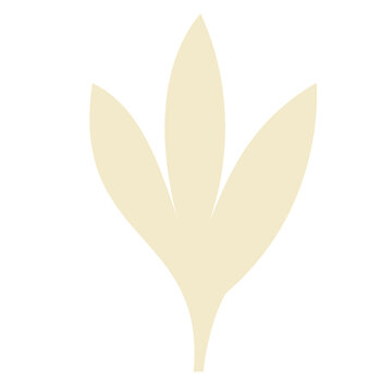 Transparent leaf graphic resource in neutral cream