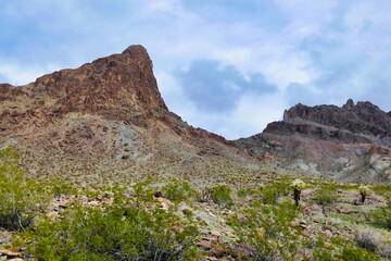 Fototapeta na wymiar Rock peaks and green desert vegetation in the Black Mountains, Mojave Desert, near Oatman, Arizona 