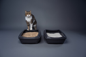 two cat litter boxes filled with clay and organic cat litter. concept image for side by side...