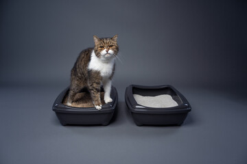 two cat litter boxes with clay and organic cat litter. concept image for side by side comparison of...