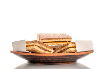 Three mini biscuits with cocoa on a clay plate, macro, isolated on a white background.