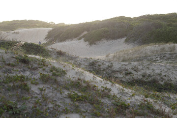 Sand hills in the beach 