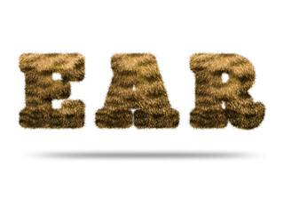 Ear text design with realistic fur