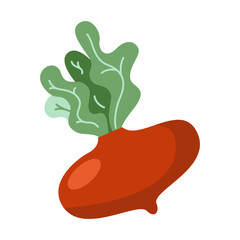 Beet vector illustration icon isolated on white background. Vegetables locally grown, farm, countryside, healthy food