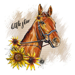 Portrait of a horse and sunflowers vector illustration isolated