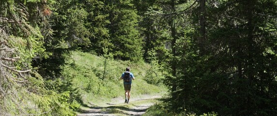 Fototapeta premium person walk in a forest