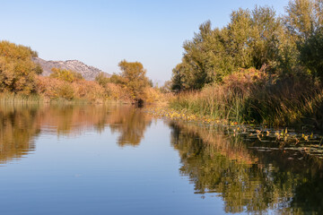 Fototapeta na wymiar Panoramic idyllic view of water reflection in Crmnica river going to Lake Skadar in Virpazar, Bar, Montenegro, Balkans, Europe. Travel destination on sunny autumn day in wilderness in the Dinaric Alps