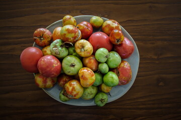 Colorful tomatoes on a white plate