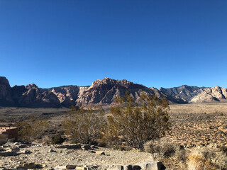 landscape in park