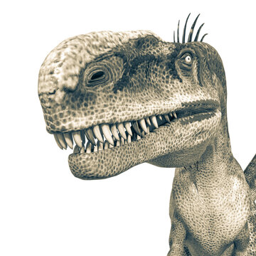 monolophosaurus id profile picture
