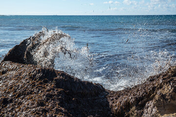 Eine Welle wirft Seegras auf den Strand