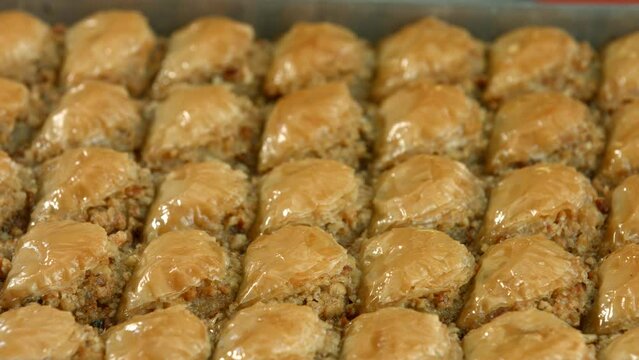 Traditional turkish baklava pistachio pastry. Dilberdudagi, ozel kesim baklava, cikolatali baklava, fistikli baklava, katmer, fistikli kadayif, kattafi, fistik sarma, soguk baklava, midye baklava, cev