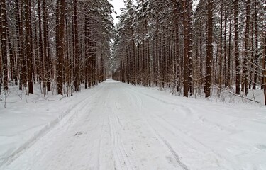 The beauty after a snowstorm in Mayo, Quebec, Canada.