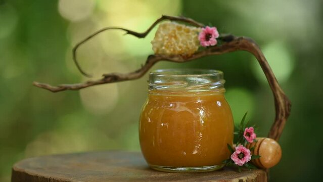 Manuka flower and honey on nature background.