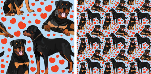 Pattern design with several Rottweiler dogs, funny doodles, and seamless pattern.T-shirt textile, wallpaper, wrapping paper, background graphic design with hearts on a blue background. Valentine's Day