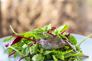 Fresh salad plate with mixed greens (arugula, mesclun, mache). Healthy food. Green food.