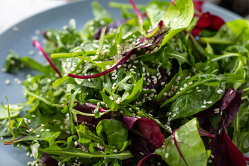 Fresh salad plate with mixed greens (arugula, mesclun, mache). Healthy food. Green food.
