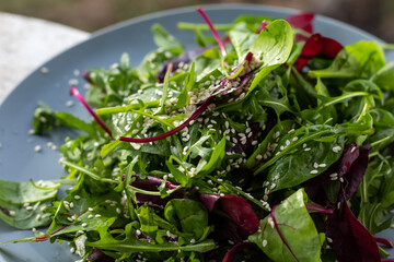 Fresh salad plate with mixed greens (arugula, mesclun, mache). Healthy food. Green food.