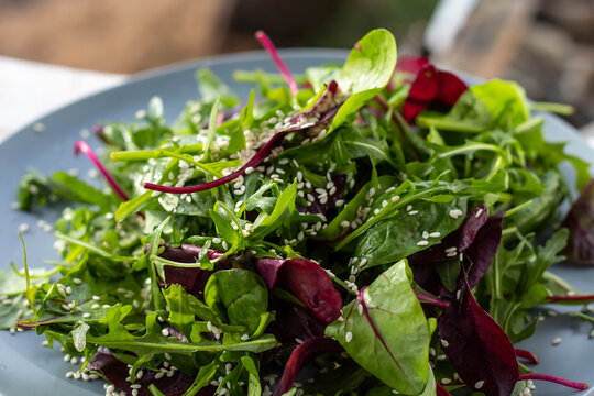 Fresh salad plate with mixed greens (arugula, mesclun, mache). Healthy food. Green food.
