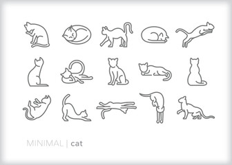 Set of cat line icons of felines in various positions