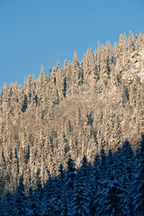 Winter of the Totenaasen Hills, Norway, by Torsetra.