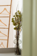 Bouquet d'eucalyptus à l'entrée de la chambre