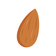 Nut almond
