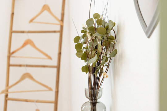 Bouquet d'eucalyptus d&eacute;corant la chambre