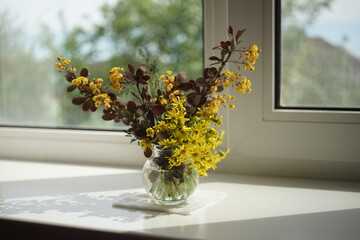 The branches of barberry bush with blooming yellow flowers in a glass vase on the windowsill