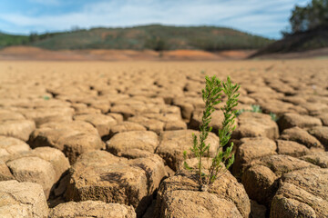 Desert arid channels of lakes and rivers during the summer period of drought, the concept of global...