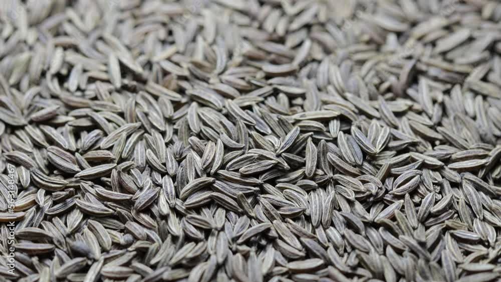 Poster cumin grains rotate in a circle. view from above
