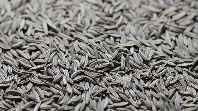 cumin grains rotate in a circle. view from above