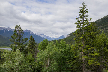Tourism. Active recreation in mountains and lake in Banff National Park, Alberta, Canada. Hiking, walks in the forest in summer. 