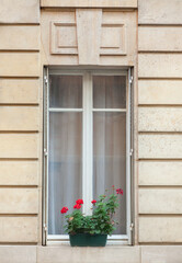 Fototapeta na wymiar Window in Paris