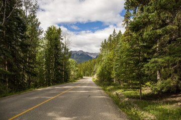 Fototapeta na wymiar Traveling on asphalt highway and Rocky mountains in pine forest at Banff national park, Canada