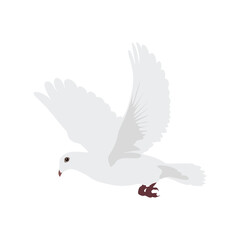 White dove flying flat illustration isolated on white background. Cartoon cute dove flying. vector illustration