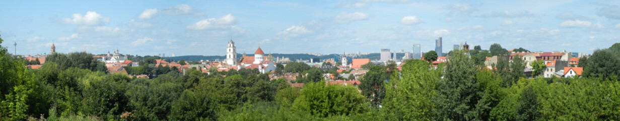 Fototapeta na wymiar Vilnius Skyline