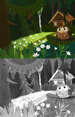 cartoon scene with owl bird in the forest near house
