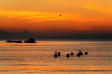 Sunrise at the Beach