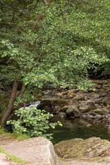 mountain river in the cantabrico in the north of spain