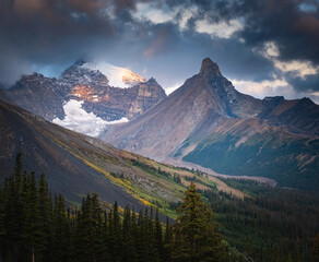 Mountain peak and forested valley in Banff NP Alberta Canada